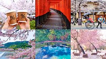 Osaka-Kyoto-Nara Private Full Day English Tour With Hotel Pick Up