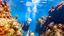 Double Dive Adventure Ras Mohammed & White Island–Sharm El Sheikh