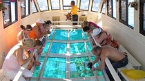 1-Hour Glass Boat Sea Trip with Transfer - Sharm El Sheikh