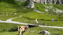 Private Hidden Switzerland Day Tour with Local Guide