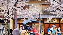 Kyoto Panoramic Day Tour Fushimi Inari Arashiyama and Temples
