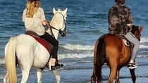 Desert & Sea on Horseback: 2-Hour Ride in Sharm El-Sheikh