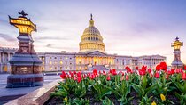 Iconic Film and Movie Locations Half Day Tour in Washington D.C.