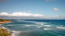 Half way to Hana Maui Open Air Jeep Private Tour