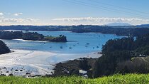 Auckland Private Custom Journeys in Luxury