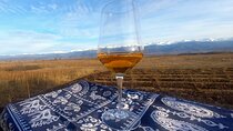 Traditional Qvevri Wine Tasting with Lunch in Kakheti