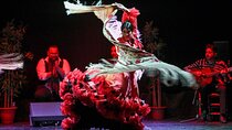 Flamenco Show Ticket at Theatre Barcelona City Hall
