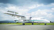 4 Day Fly-In Serengeti Safari and Scenic Drive-Out Adventure 