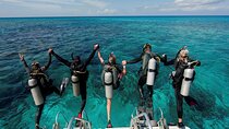 Advanced Scuba Diving Course in the Red Sea – Sharm El Sheikh