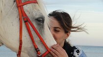 Nabq Bay Horseback Riding (1 Hour) & Transfer – Sharm El Sheikh