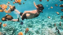 Snorkeling at Blue Lagoon with Jungle Swing - Waterfalls - ATV