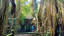 Private All-Inclusive Ubud Half-Day Tour