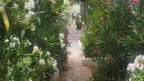 Ibiza Walking Tour with a Private Guide