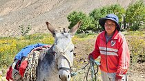 Discover Humahuaca Hornocal and Iruya Full Tour in 2 Days