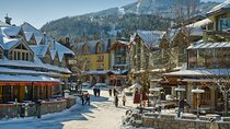 Vancouver Whistler Shannon Falls and Sea to Sky Gondola Day Tour