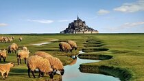 Private Day Trip to Mont-Saint-Michel and Rouen from Paris