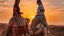 Berber Agafay Experience: Camel Ride, Quad & Dinner show