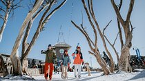 Mount Buller Day Tour from Melbourne