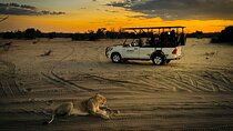 Chobe Day Trip from Victoria Falls