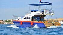 Private Luxury Dolphin House Boat Tour With Lunch - Hurghada