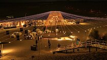 Premium Red Dunes Desert Safari: Dune Bashing, camel ride, bbq