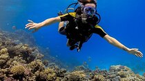  2 Dive Stops Intro Scuba Diving With Lunch & Transfer - Hurghada