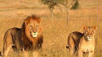 5 Days Mid Range Group Safari and Accommodations