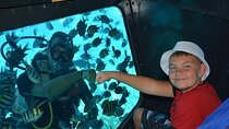 Exciting Panorama Semi-Submarine & Snorkeling Adventure– Hurghada