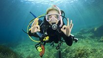 PADI Open Water Scuba Diving Course With Transfer - Marsa Alam
