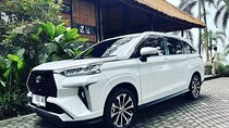 Bali Private Custom Tour with Driver (Full Day)