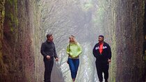 Explore Anaga's hidden gems