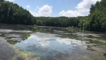 Private Tour Can Gio Mangrove Biosphere 