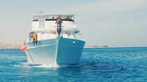 Dolphin House Snorkeling Trip & Water Sports with Lunch -Hurghada