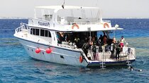 Full Day Scuba Diving Boat Trip for Beginners with Lunch-El Gouna