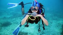 Diving Experience for beginners with Lunch - Sharm El Sheikh