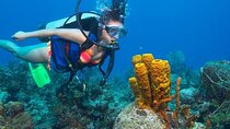 Coral Garden Sea Trip with Two Dives & Transfer – Marsa Alam