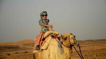 Desert Adventure: Quad, Jeep, Bedouin Dinner & Show – Marsa Alam