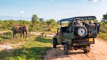 Aquila Game Reserve Safari Day Tour from Cape Town