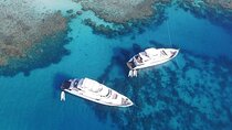 Tiran Island Two Dive Stops Lunch Sharm El Sheikh Experience