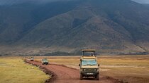 4-Day Serengeti Ngorongoro Camping