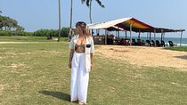 Customized Down South Tours