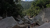 Trail to the Waterfall: A Journey to the Essence of Nature