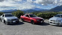 Hakone Mountain Drive Private Tour 