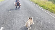 Great Ocean Road - Private Express Tour