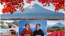 Mt. Fuji & Hakone Day Trip with Autumn Leaves & Kimono Experience