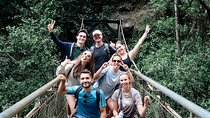 Brisbane: Springbrook 7 Waterfalls and Natural Bridge Day Tour