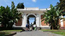 Guided Herculaneum Exploration to Explore Ancient Roman Houses