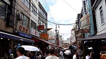 Tsukiji Seafood Market Tour with Local Guide and Tastings