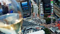 Unique Experience in Dynamic City Shibuya, 1 Day Includes All
