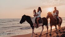 Horseback Ride by the Beach and Desert – Hurghada Adventure